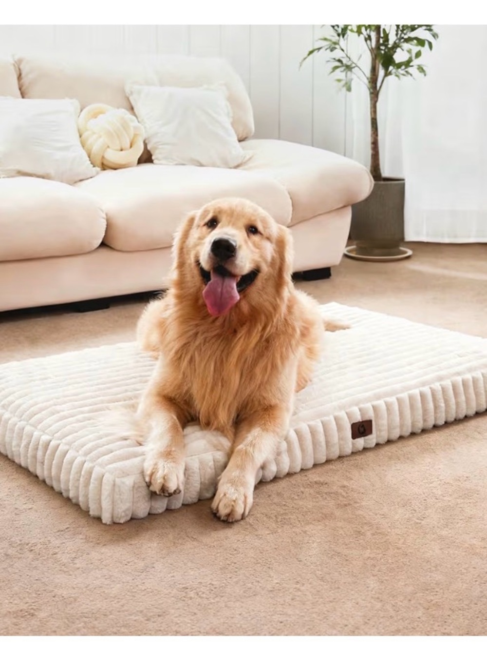 Cream Plush Dog Bed - Ultra Soft Orthopedic Pet Mattress